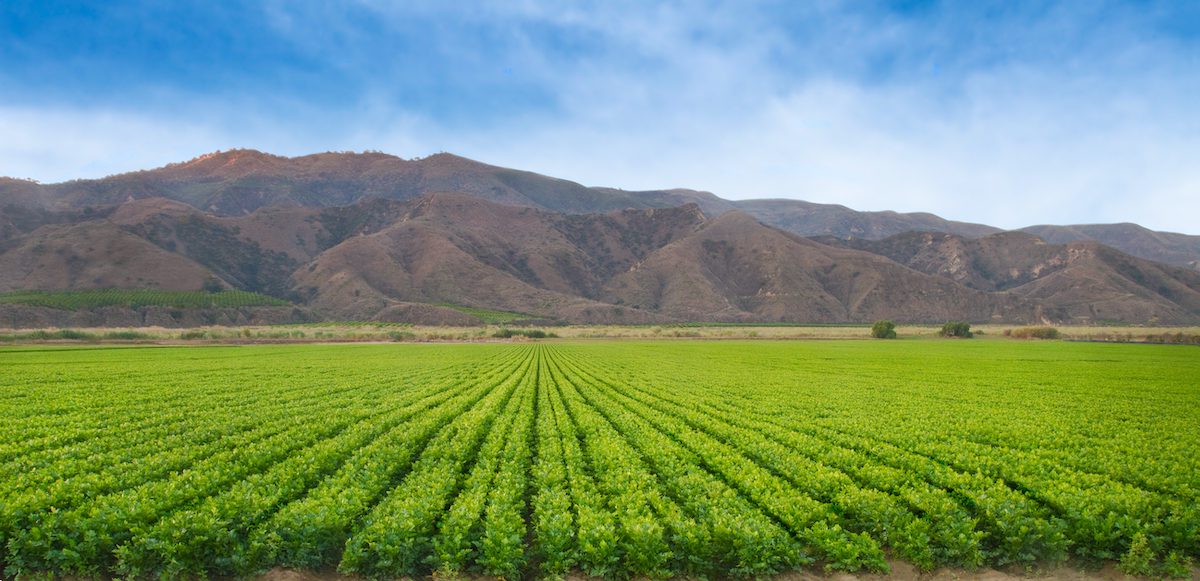GRANITE PEAK NAVIGATES A TURBULENT MARKET Granite Peak